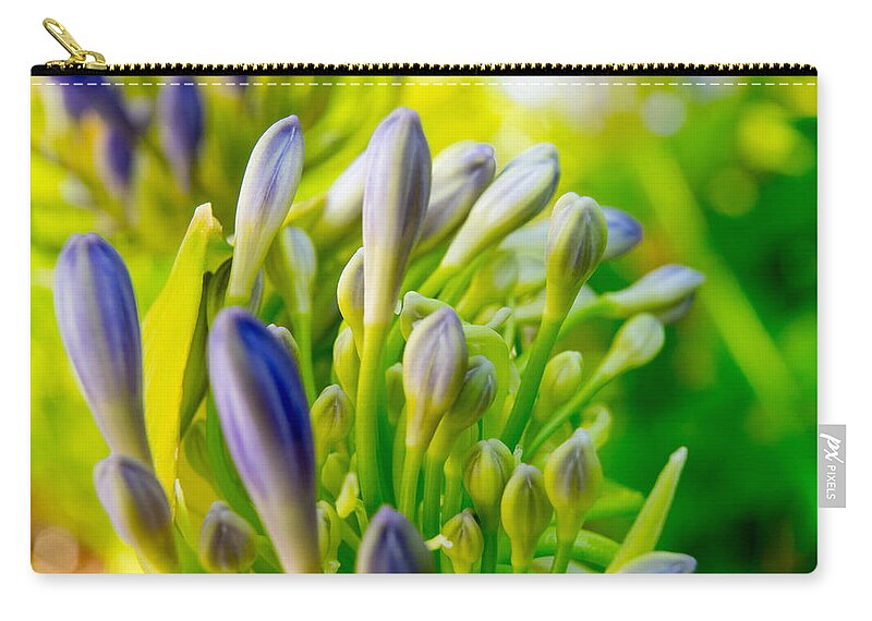 Flowers Carry-all Pouch featuring the photograph Go Forth by Derek Dean