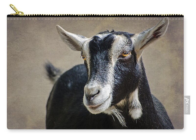 Goat Zip Pouch featuring the photograph Goat 2 by Susan McMenamin