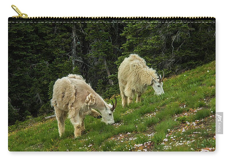 Olympic National Park Zip Pouch featuring the photograph Goat Garden by Doug Scrima