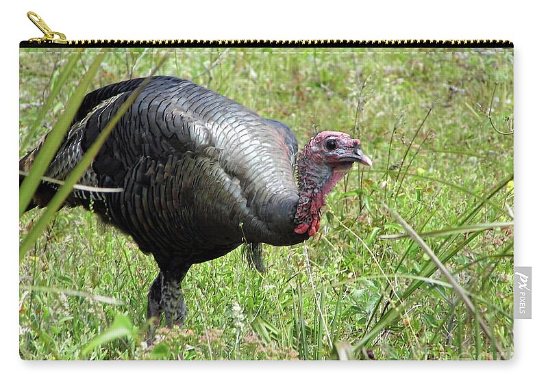 Turkey Zip Pouch featuring the photograph Gobbler by D Hackett
