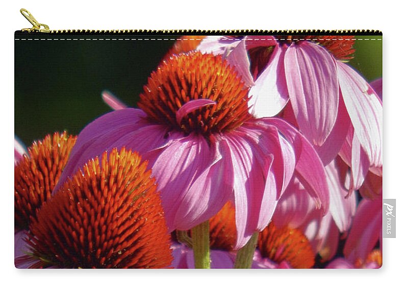 Coneflowers Zip Pouch featuring the photograph Going Up by Wild Thing