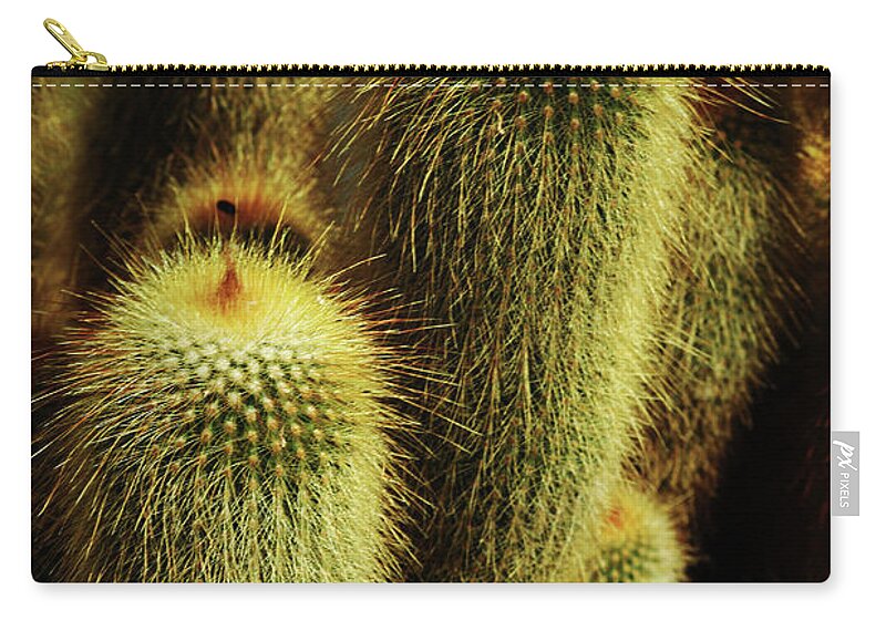Cactus Zip Pouch featuring the photograph Golden Cactus by Karol Livote