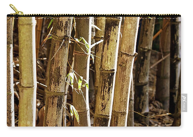 Bamboo Zip Pouch featuring the photograph Golden Canes by Linda Lees