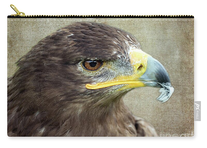 Eagle Zip Pouch featuring the photograph Golden Eagle by Lynn Bolt