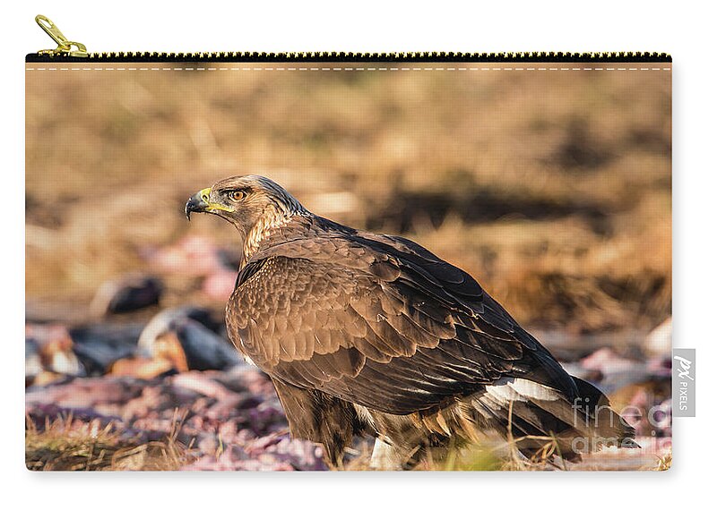 Golden Eagle Carry-all Pouch featuring the photograph Golden Eagle's Back by Torbjorn Swenelius