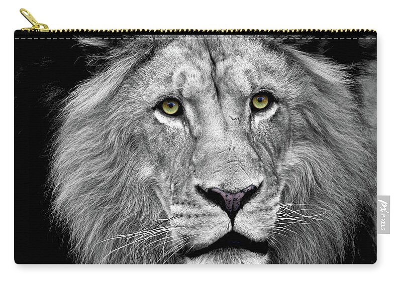Lion Zip Pouch featuring the photograph Golden Ees by Steve and Sharon Smith