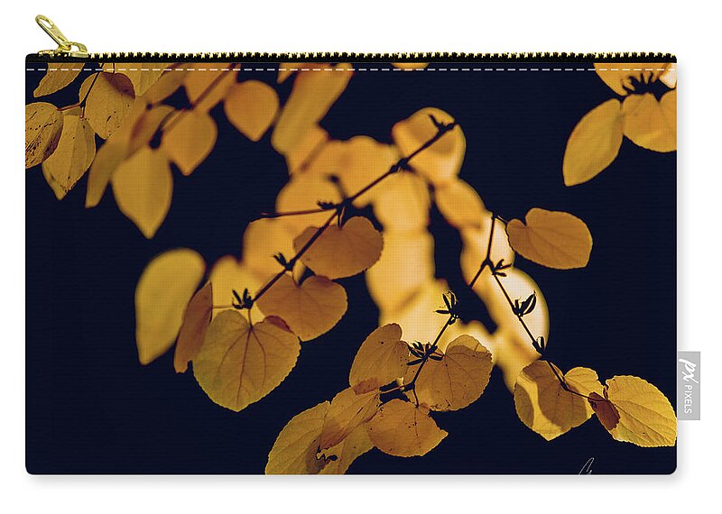 Nature Zip Pouch featuring the photograph Golden by Gene Garnace