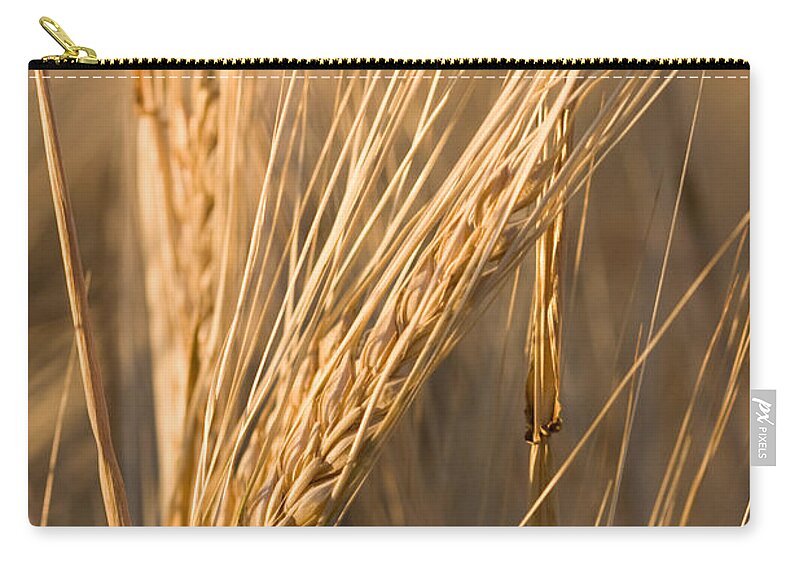 Agriculture Zip Pouch featuring the photograph Golden Grain by Cindy Singleton