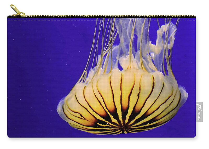 Fish Zip Pouch featuring the photograph Golden Jellyfish by Rosalie Scanlon