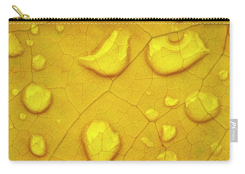 Yellow Zip Pouch featuring the photograph Golden Leaf by Christopher Johnson