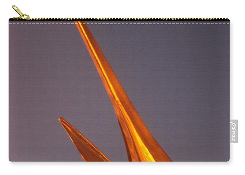 Animals Zip Pouch featuring the photograph Golden Marlin and a Full Moon by Robert Banach