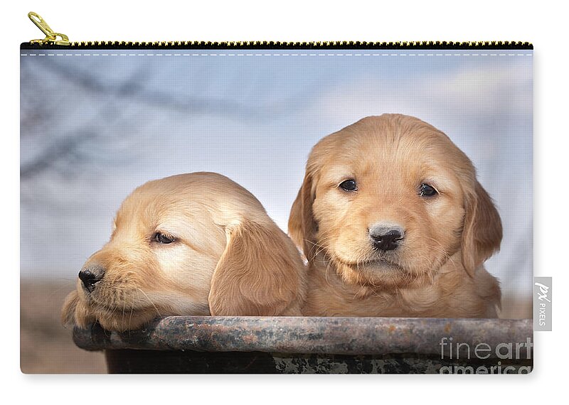 Dogs Zip Pouch featuring the photograph Golden Puppies by Cindy Singleton