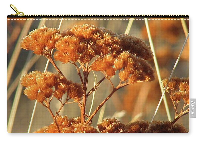 Flower Zip Pouch featuring the photograph Golden Reach by David Bader