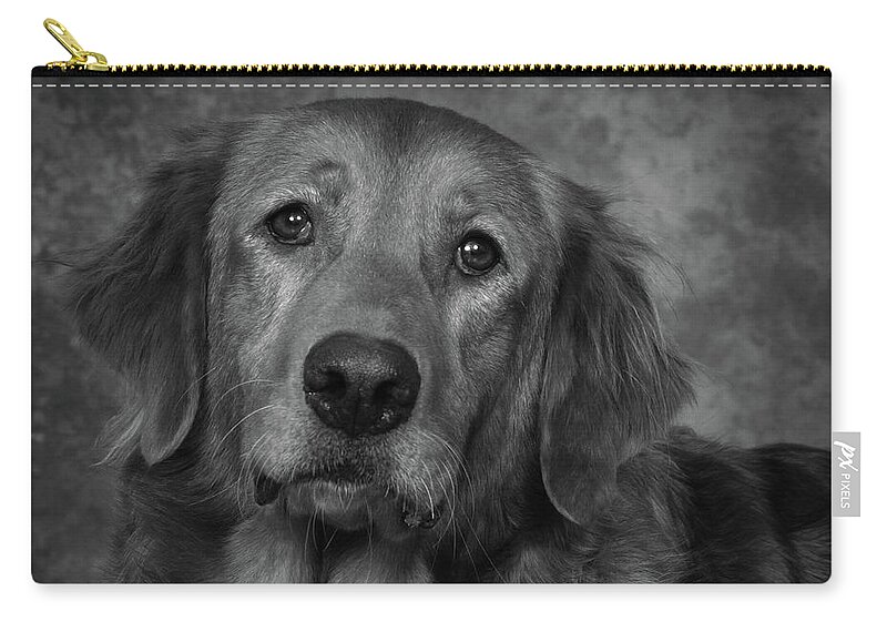 Dog Zip Pouch featuring the photograph Golden Retriever In Black and White by Greg and Chrystal Mimbs