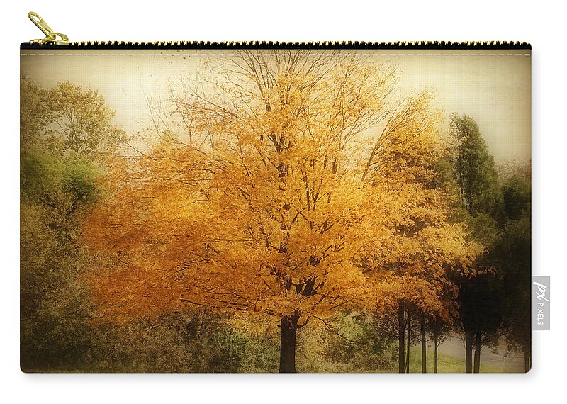 Landscape Zip Pouch featuring the photograph Golden Tree by Sandy Keeton
