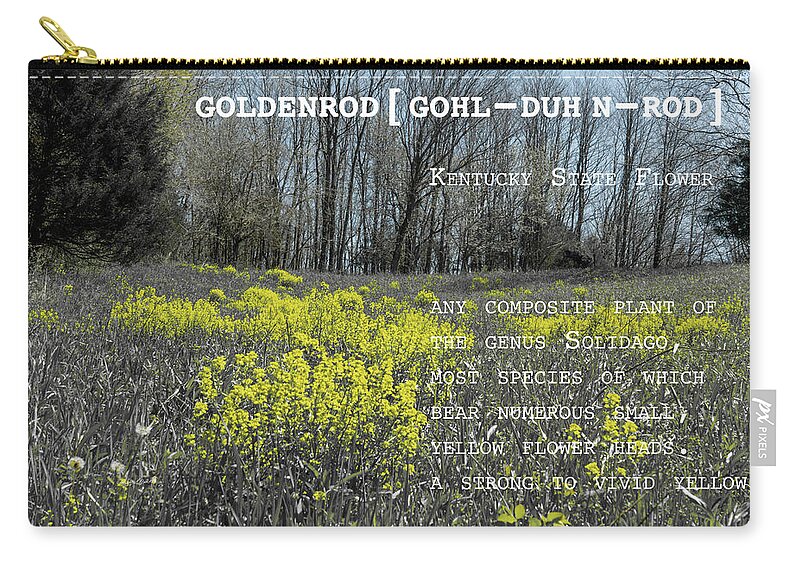 Sharon Popek Zip Pouch featuring the photograph Goldenrod by Definition Kentucky by Sharon Popek