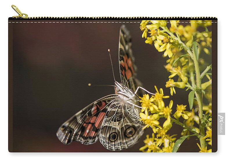 Butterflies Zip Pouch featuring the photograph Goldenrod Visitor by Robert Potts