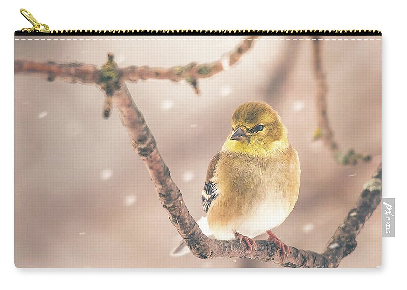 Cheryl Baxter Photography Zip Pouch featuring the photograph Goldfinch in the Snow by Cheryl Baxter