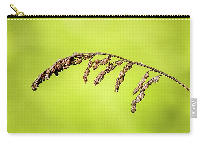 Nature Zip Pouch featuring the photograph Gone to Seed by Robert Mitchell