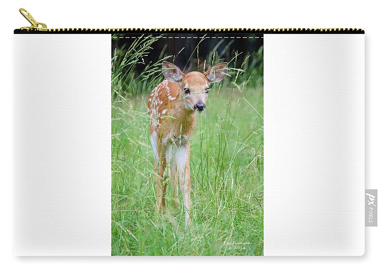 Fawn Zip Pouch featuring the photograph Good Morning World by Peg Runyan
