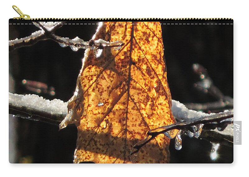 Vertical Zip Pouch featuring the photograph Goodbye to Autumn by Bill Tomsa