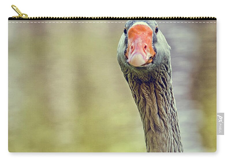Goose Zip Pouch featuring the photograph Goose by Patricia Hofmeester