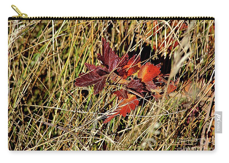 Gooseberry Zip Pouch featuring the photograph Gooseberry in Fall by Ann E Robson
