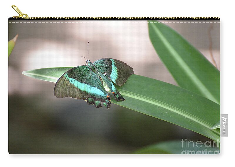 Emerald-swallowtail Zip Pouch featuring the photograph Gorgeous Emerald Swallowtail Butterfly Sparkling in the Sun by DejaVu Designs