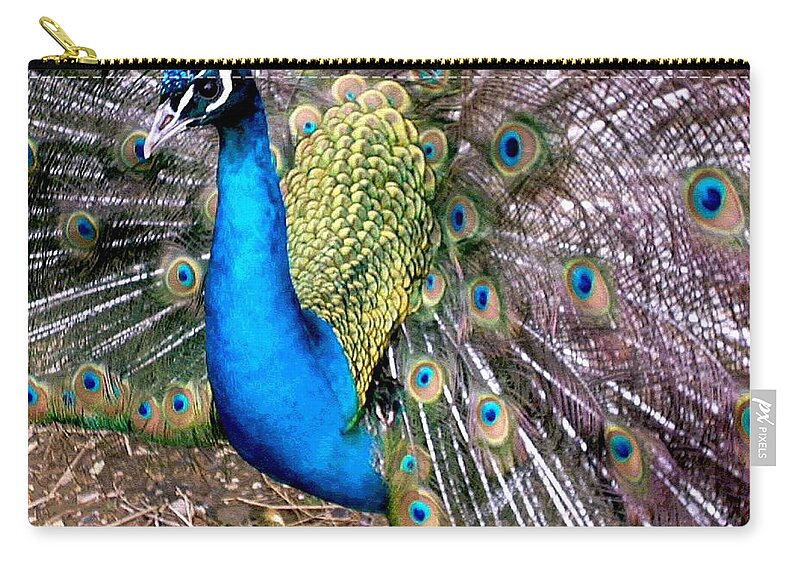 Peacock Zip Pouch featuring the photograph Gorgeous George by Susan Baker