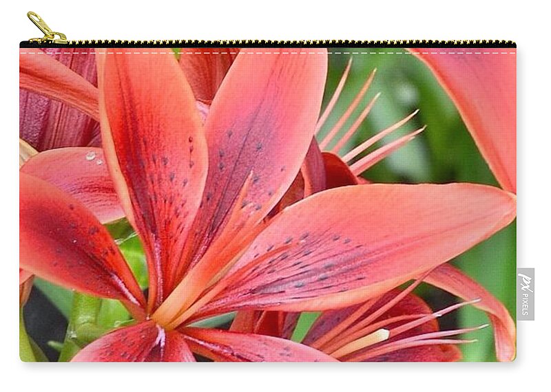 Flower Zip Pouch featuring the photograph Gorgeous Red Flowers by Kim Bemis