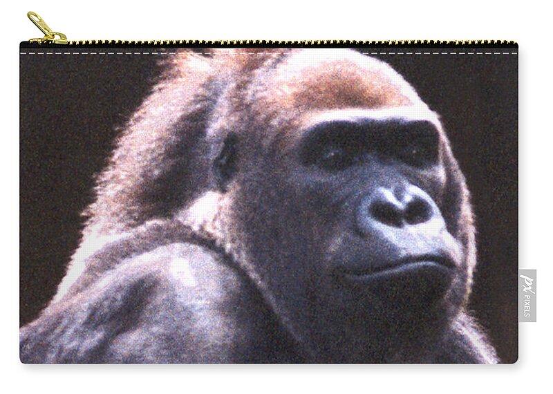 Gorilla Zip Pouch featuring the photograph Gorilla by Steve Karol