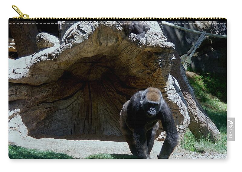 Gorillas Zip Pouch featuring the photograph Gorillas Mary Joe Baby and Emonty Mother 2 by Phyllis Spoor