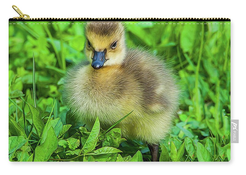 Gosling Zip Pouch featuring the photograph Gosling by Cathy Kovarik