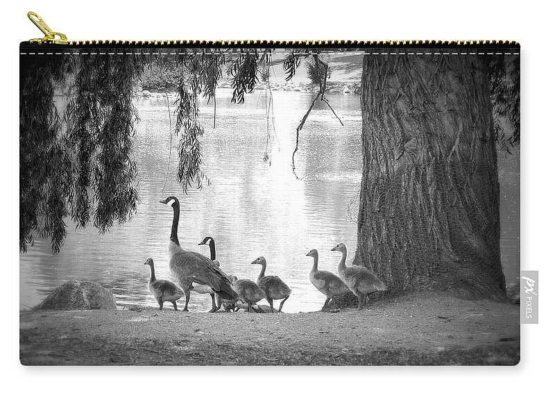 Geese Zip Pouch featuring the photograph Goslings BW7 by Clarice Lakota
