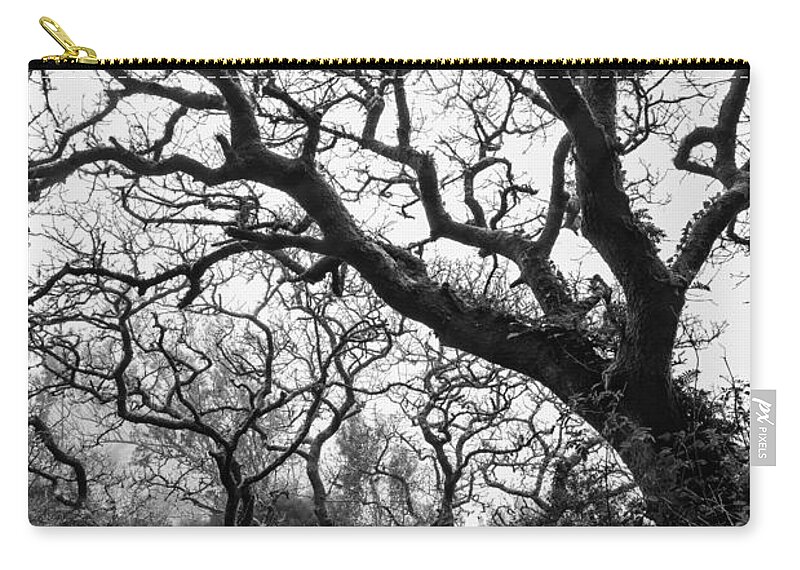 Gothic Zip Pouch featuring the photograph Gothic Woods II by Marco Oliveira
