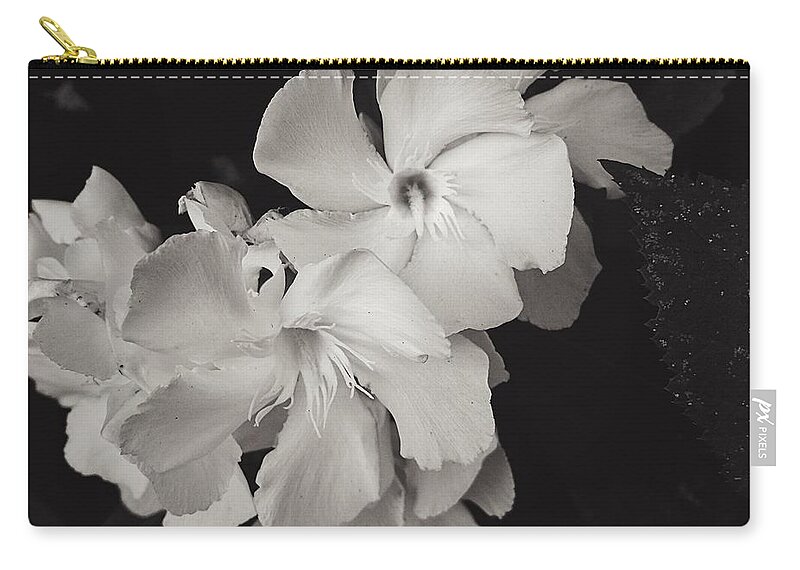 Flower Zip Pouch featuring the photograph Grace in White by Brad Hodges