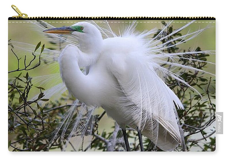 Great White Egret Zip Pouch featuring the photograph Grace IN Nature II by Carol Montoya