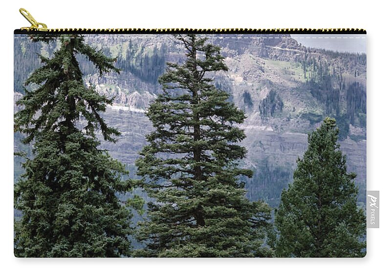 Trees Zip Pouch featuring the photograph Grand Mesa Forest by Jaime Mercado
