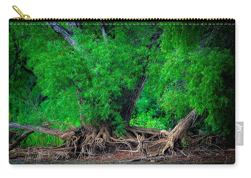 Tree Zip Pouch featuring the photograph Grandfather Willow by Jeff Phillippi