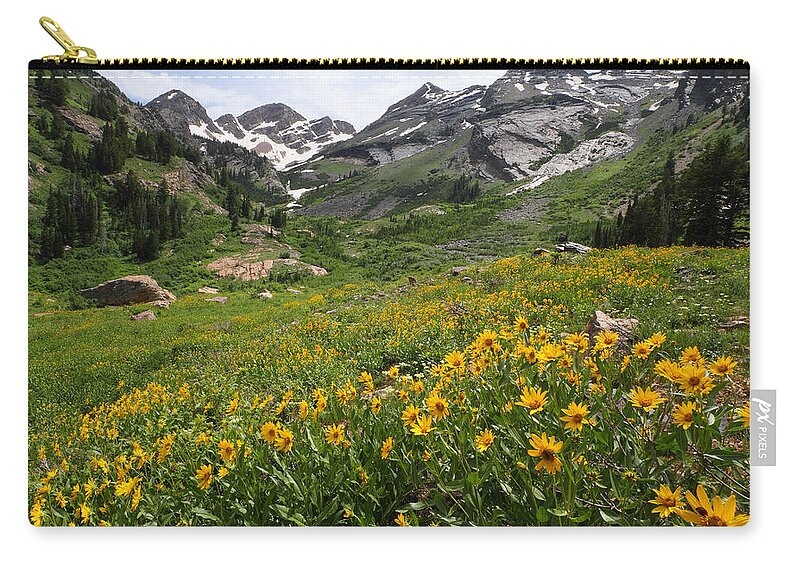 Landscape Carry-all Pouch featuring the photograph Grandmothers Meadow - Broads Fork by Brett Pelletier
