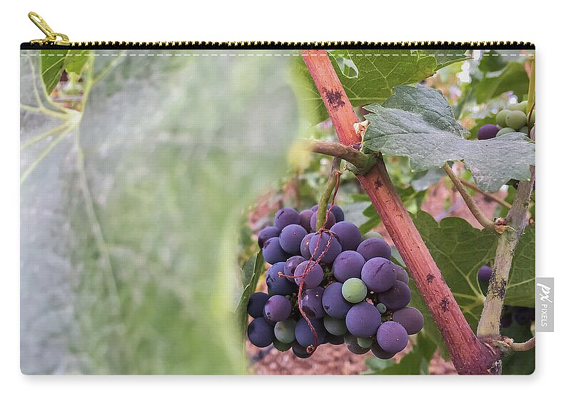 Abstract Zip Pouch featuring the photograph Grapes 1 by Jonathan Nguyen