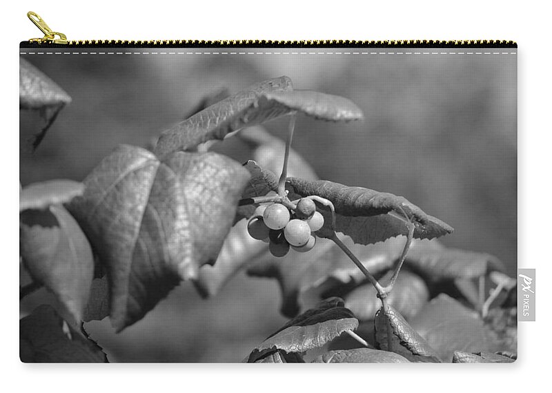 Grapes Zip Pouch featuring the photograph Grapes on the vine by Joseph Caban