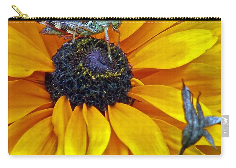 Insects Zip Pouch featuring the photograph Grasshopper and Susan by Jennifer Robin