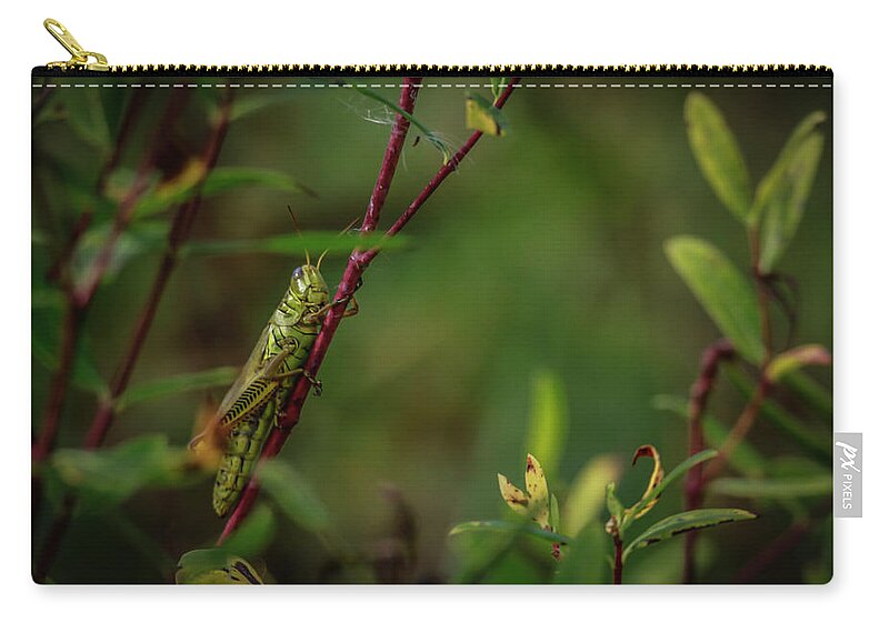 Grasshopper Zip Pouch featuring the photograph Grasshopper Holding On by Ray Congrove