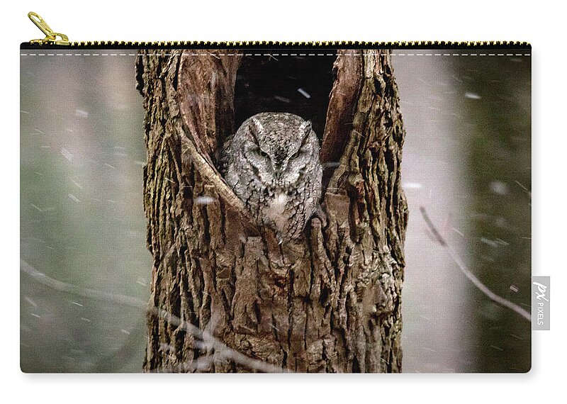 Bird Zip Pouch featuring the photograph Gray in a Snow Shower by Travis Boyd