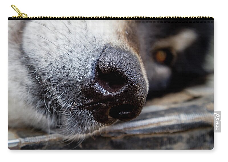 Gray Wolf Nose Carry-all Pouch by Teri Virbickis - Fine Art America