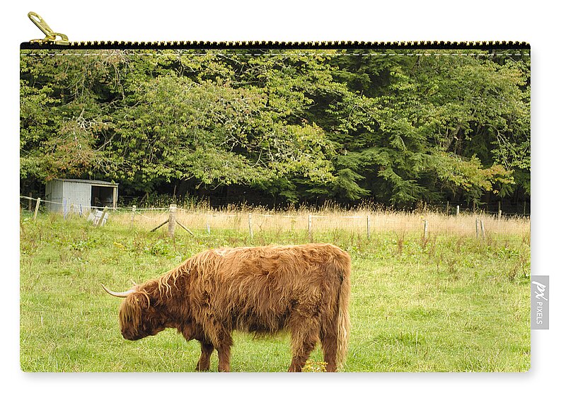 Hairy Zip Pouch featuring the photograph Grazing by Christi Kraft