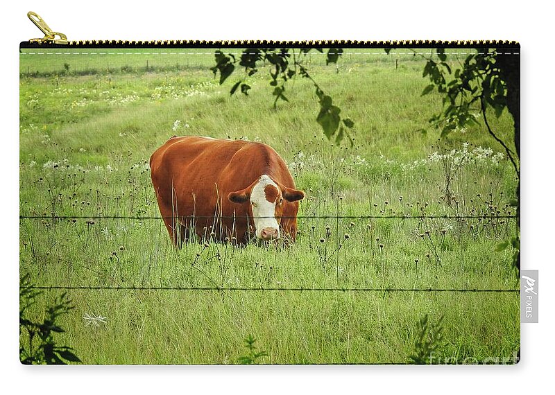 Cow Art Zip Pouch featuring the photograph Grazing Cow by Ella Kaye Dickey