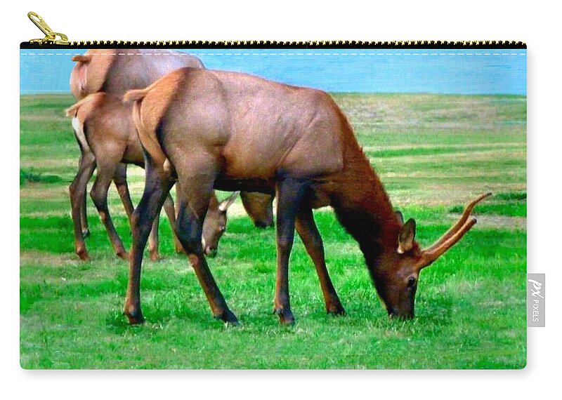 Elk Zip Pouch featuring the photograph Grazing Elk by A L Sadie Reneau