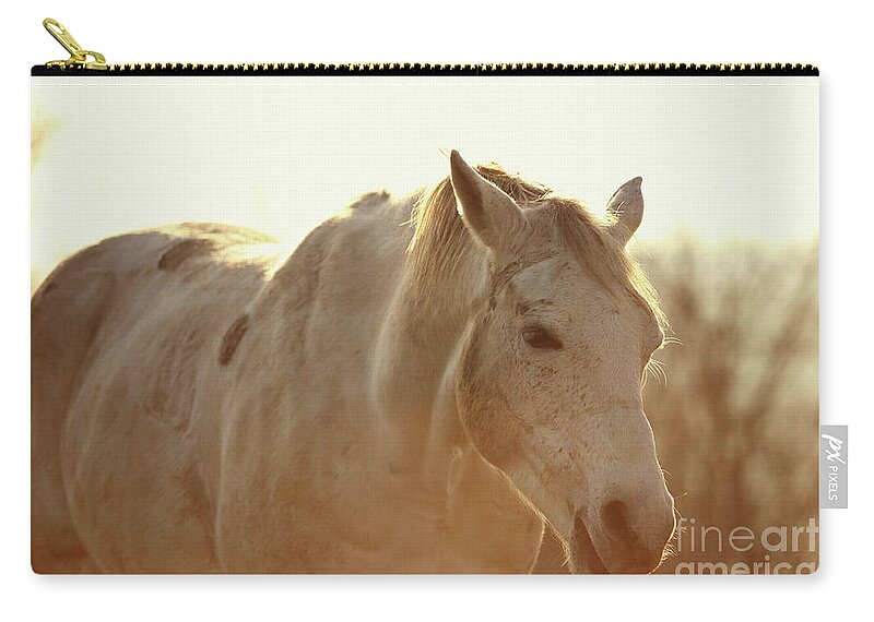 Horse Zip Pouch featuring the photograph Grazing Horse by Dimitar Hristov